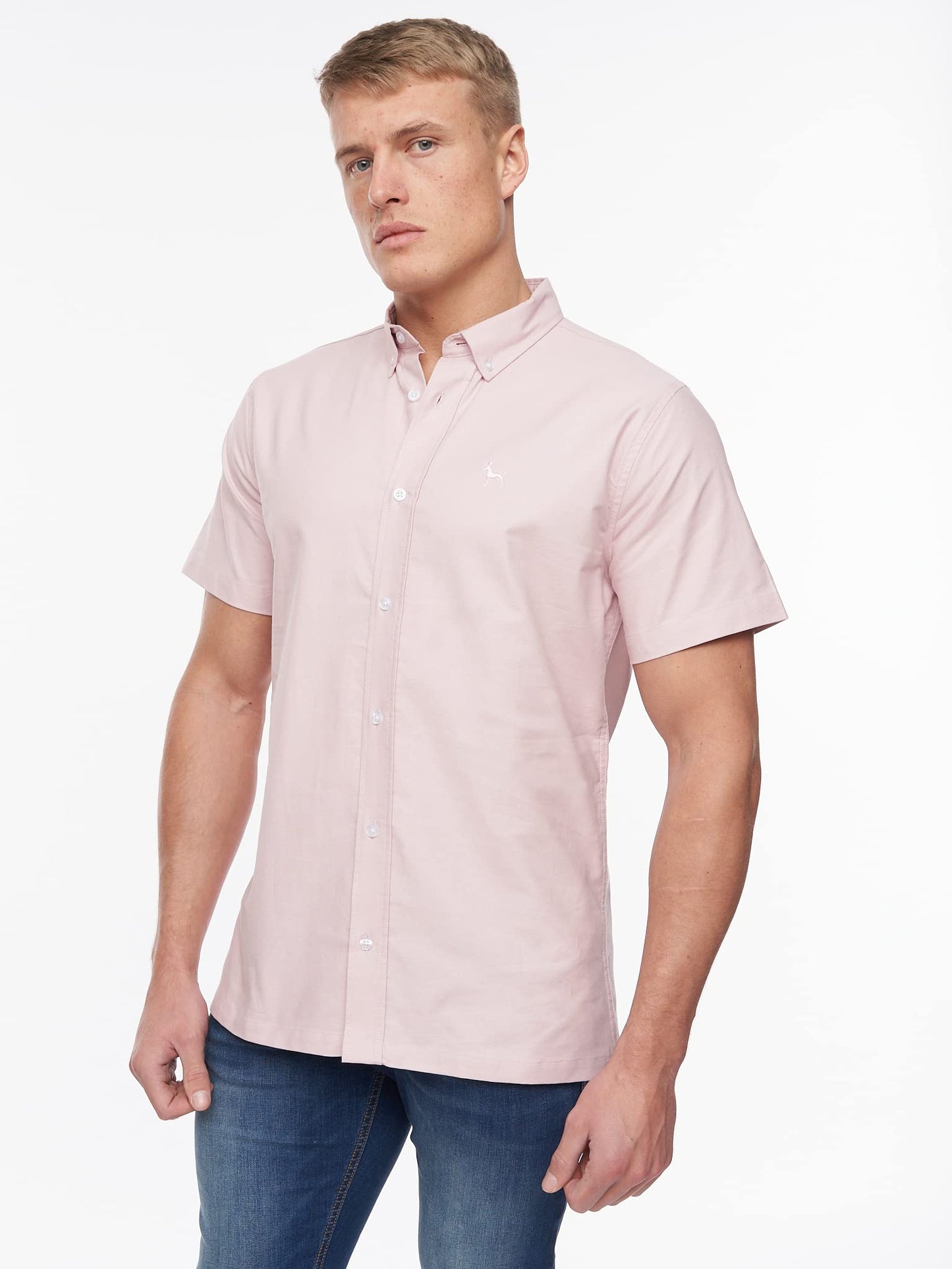 Bewley and Ritch Men's Short Sleeve Button-Up Easy Care Shirt