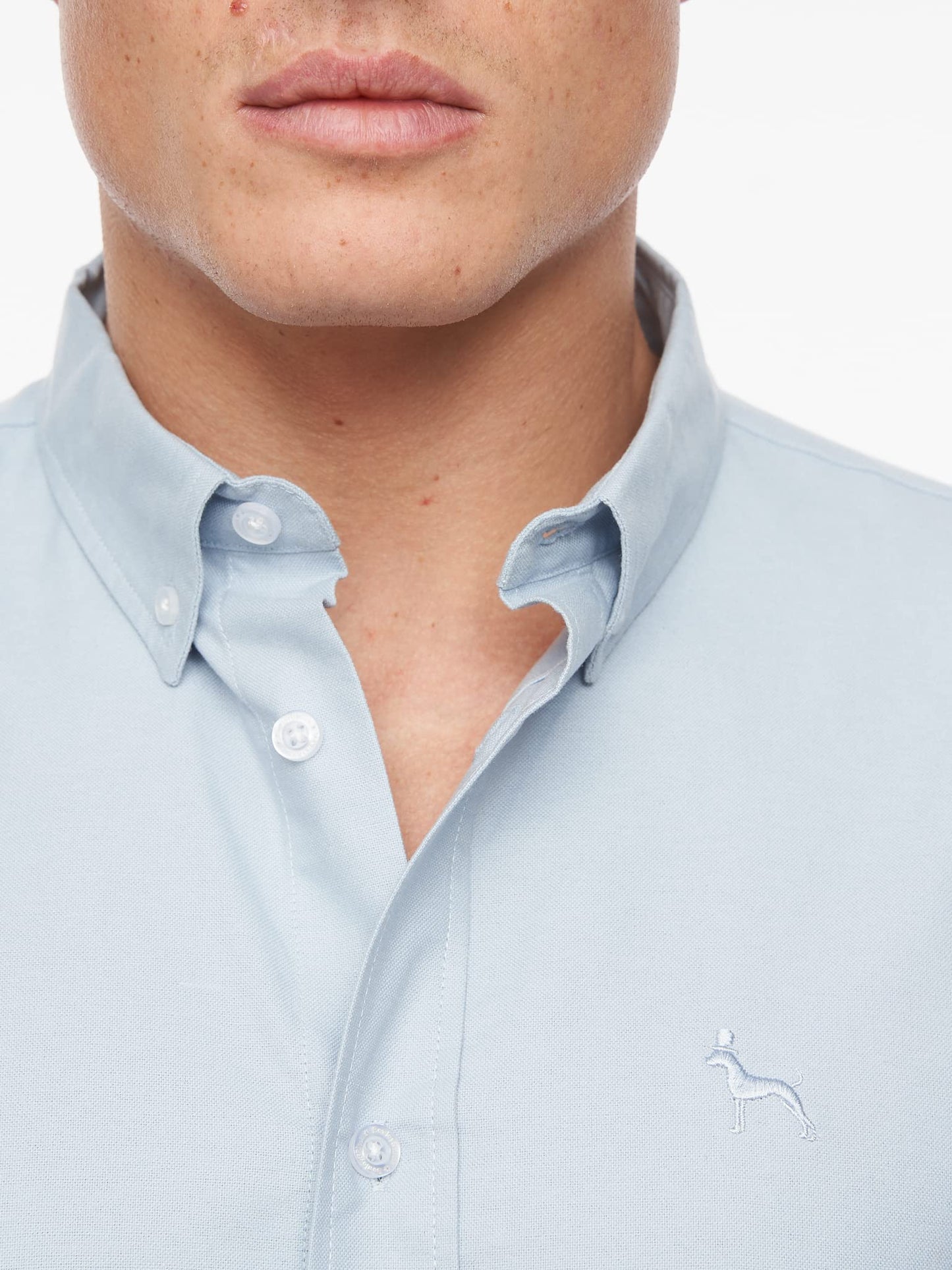 Bewley and Ritch Men's Short Sleeve Button-Up Easy Care Shirt